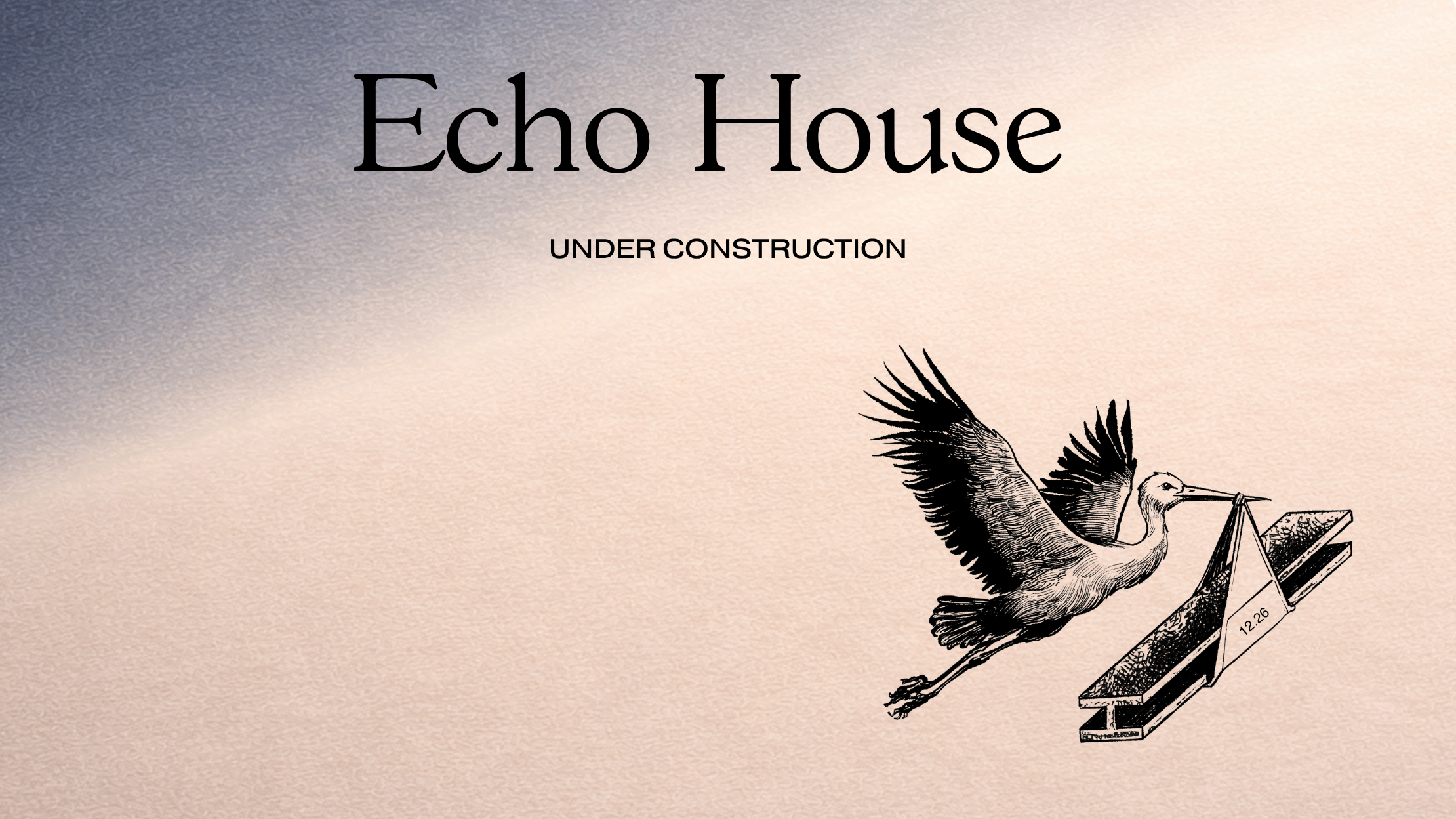 Echo House — Under Construction